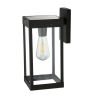 Solar Wall Mount LED Light, Motion Sensing, Black Metal and Glass, 200 Lumens