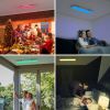 18W RGB LED Ceiling Light with Remote Control